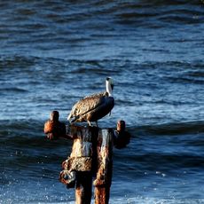 Barcos hundidos