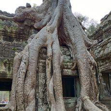 Ta Prohm