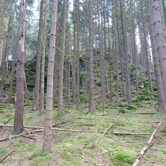 Gneisfelsen im Fuchsbau SW von Schauenstein