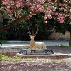 Pálffyovský kaštieľ, park