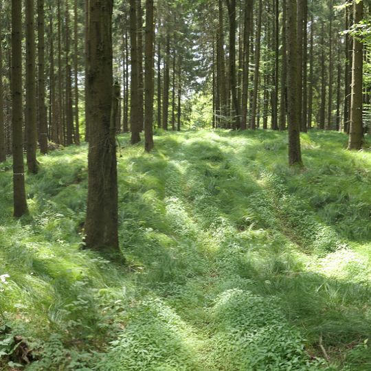Abschnittsbefestigung Spitalwald