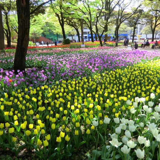 Yokohama Park