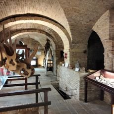 Museum of Natural History