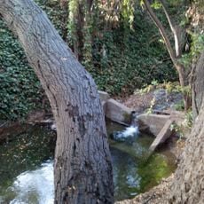 Heritage Oaks Park