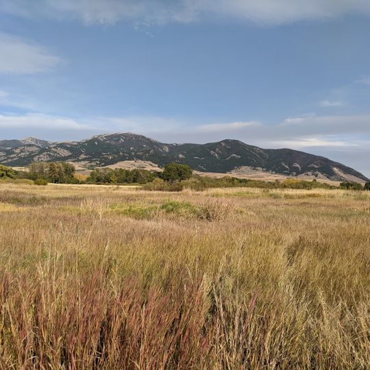 Cherry River Fishing access