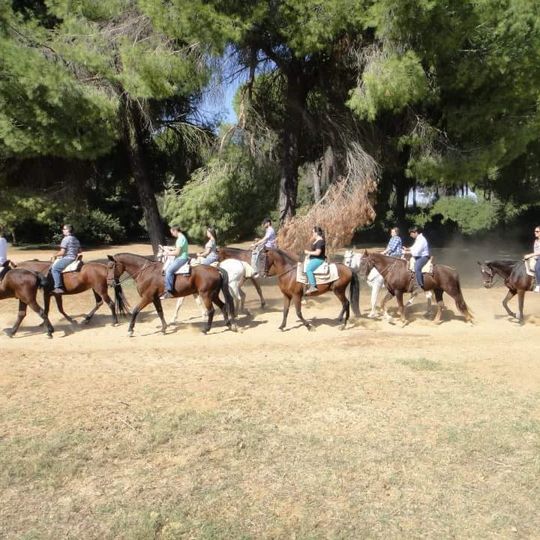 Equestrian Center Entrepinares