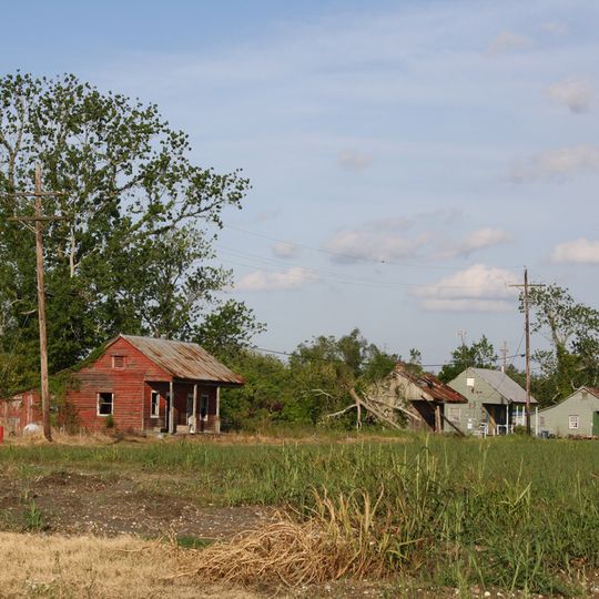 Allendale Plantation