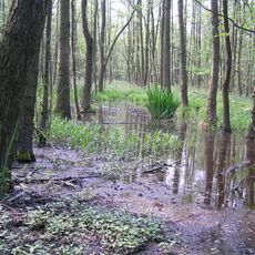 Siebengebirge Teilgebiet Ennert