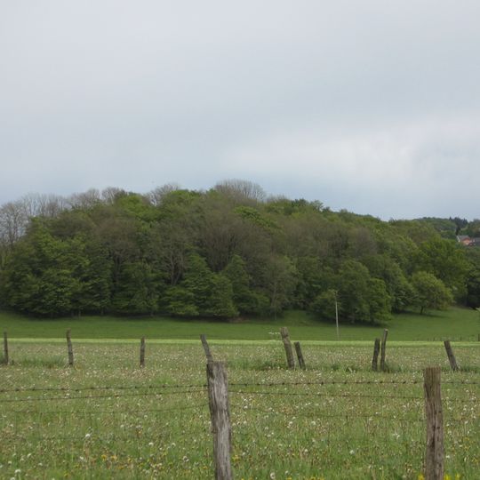 NSG Hollenloch-Ziegentempel