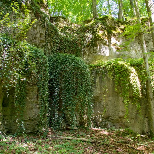 Dolomitfelsen am Steinberg E von Königstein