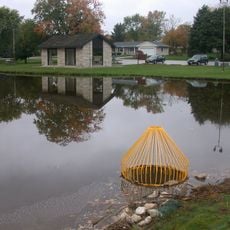 Lilly Heights Park