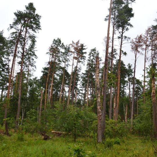 Viunyshche Protected Tract