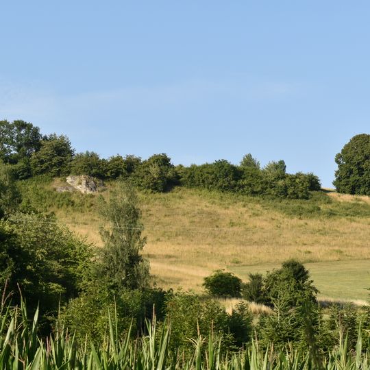 Butterberg/Hopfenbusch