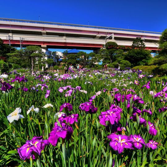 Horikiri Iris Garden