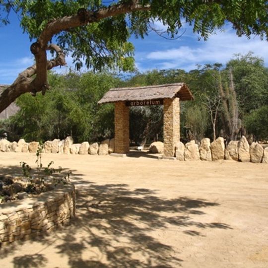 Arboretum d'Antsokay