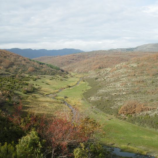 Hayedo de Tejera Negra