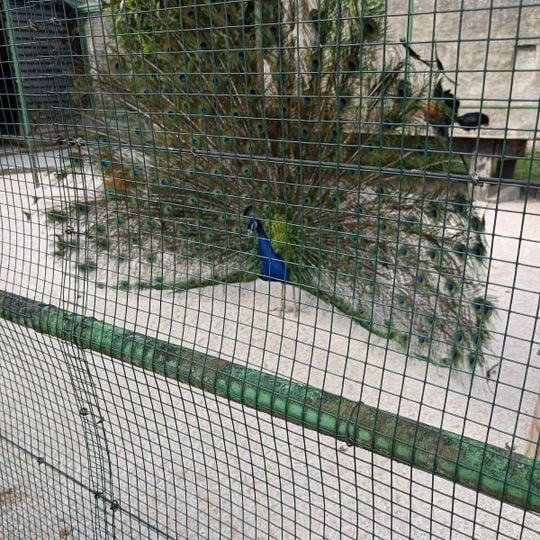 La ferme à l'École