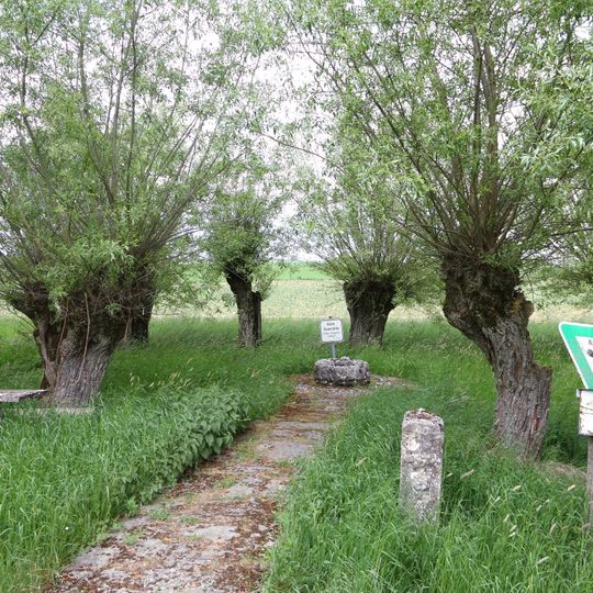 Kopfweidengruppe mit Taufstein aus dem 2.–3. Jahrh. Selberten