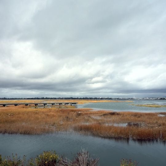 Arrowhead Marsh