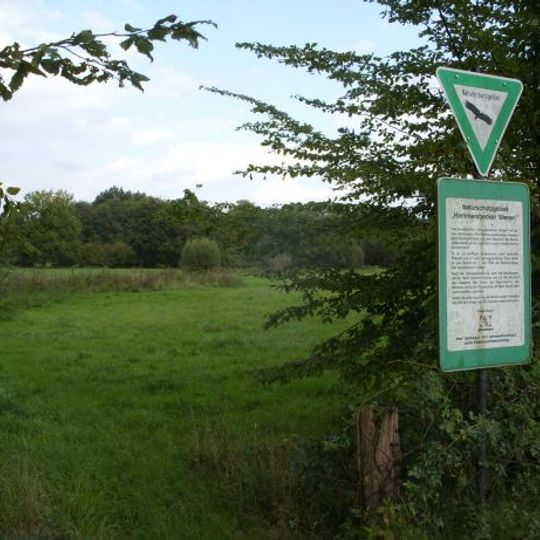Hammersbecker Wiesen