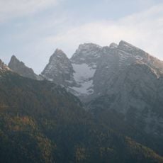 Rotpalfen