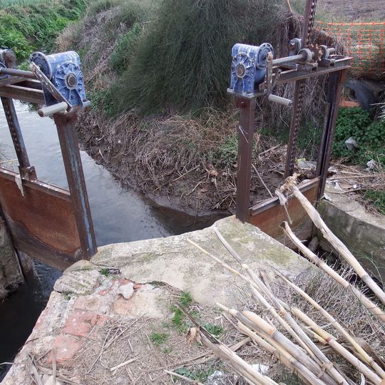 Llengües del Braç de Dalt-del Mig