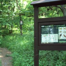 Provodínské kameny