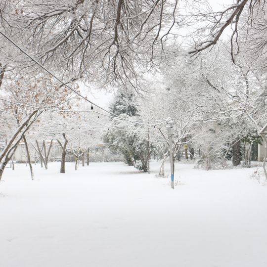 مهد کودک دانشگاه تهران