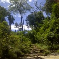 Municipio Autónomo Alto Orinoco