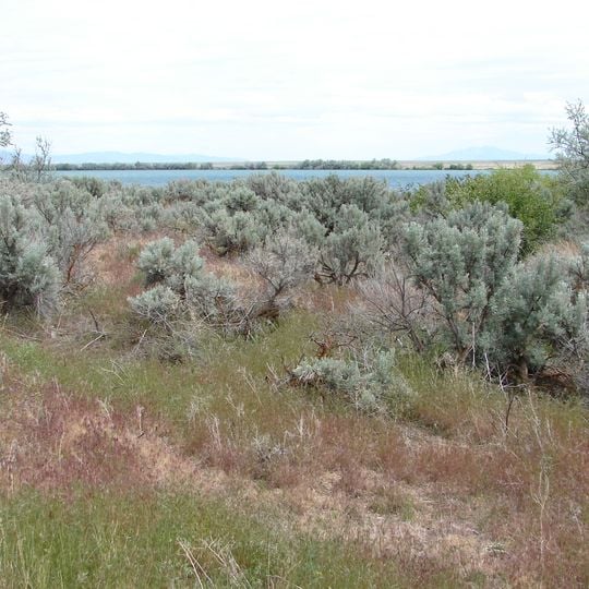Refuge faunique national Minidoka