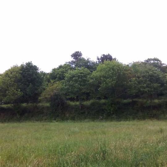 Castro de Vila do Castro