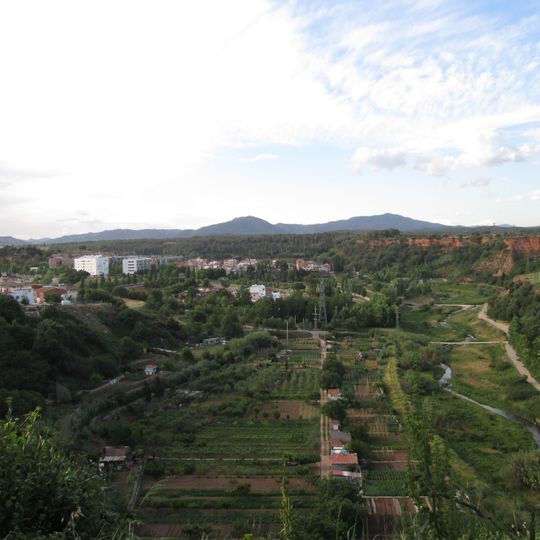 Horta de Can Puiggener