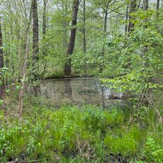Weihergebiet Maxhütte