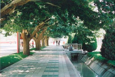 Immagine alternativa