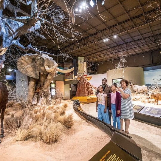 Anniston Museum of Natural History