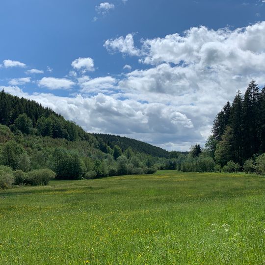 Lewertbach mit Nebenbächen