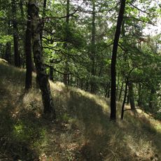 Okrouhlé Hradiště