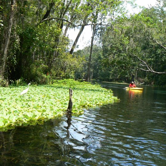Ichetucknee River