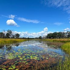 Illinois Beach Nature Preserve