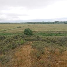 Poste d’observation du Marquenterre