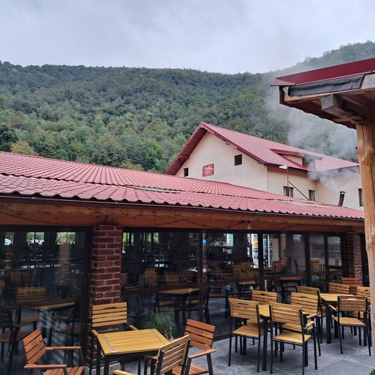 Vișina