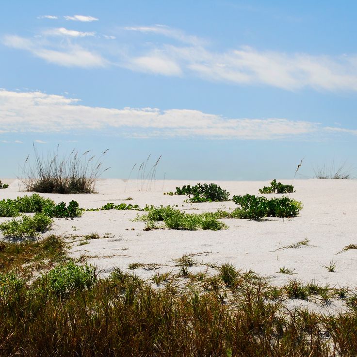 Parc d'État de Cayo Costa
