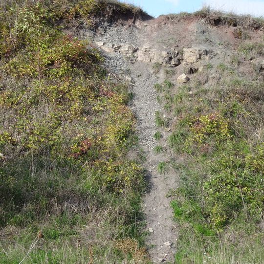 Acrodus-Corbula-Zone SE von Nenzenheim
