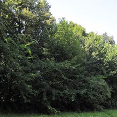 Manor park in Posada Zarszyńska