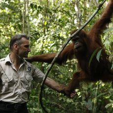 Parc national de Bukit Tigapuluh