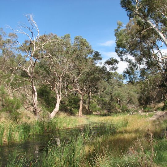 Long Forest Nature Conservation Reserve