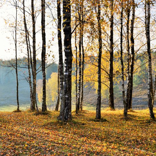 Schwalm-Nette Nature Park