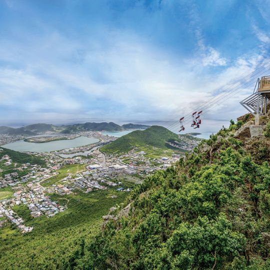 Rainforest Adventure