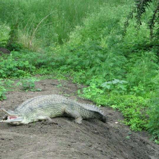 Van Vihar National Park