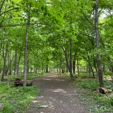 Thatcher Woods Preserve